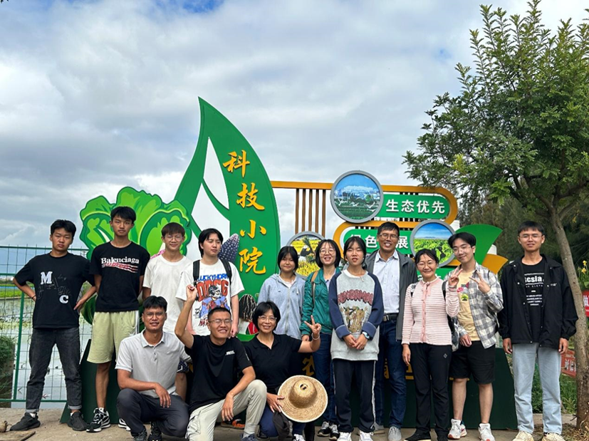 电子游艺