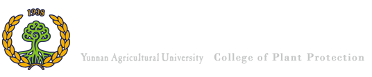 电子游艺
